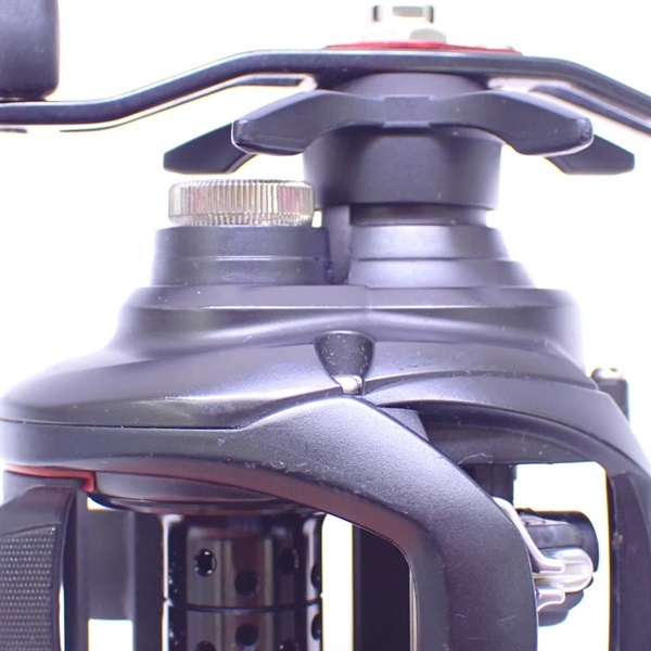 １９タトゥーラＴＷ１００ＳＨＬ